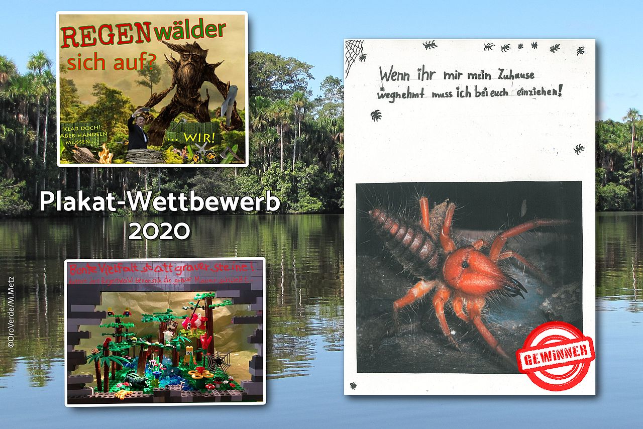 Sieger des Plakatwettbewerbs 2020. ©OroVerde Schrecksekunde beim Siegerplakat 2020. Sein Titel lautet: „Wenn ihr mir mein Zuhause wegnehmt muss ich bei euch einziehen“. ©OroVerde