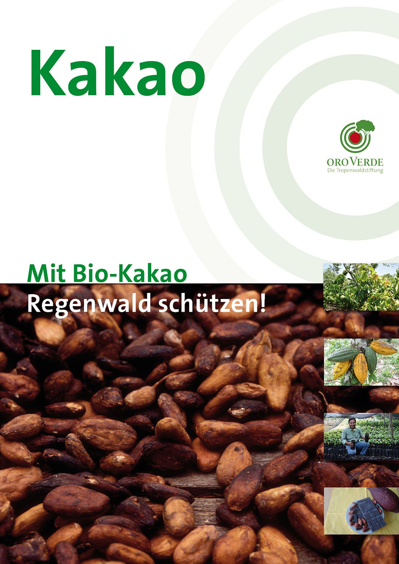 Regenwald schützen mit Bio-Kakao - Ein Faktenpapier von OroVerde