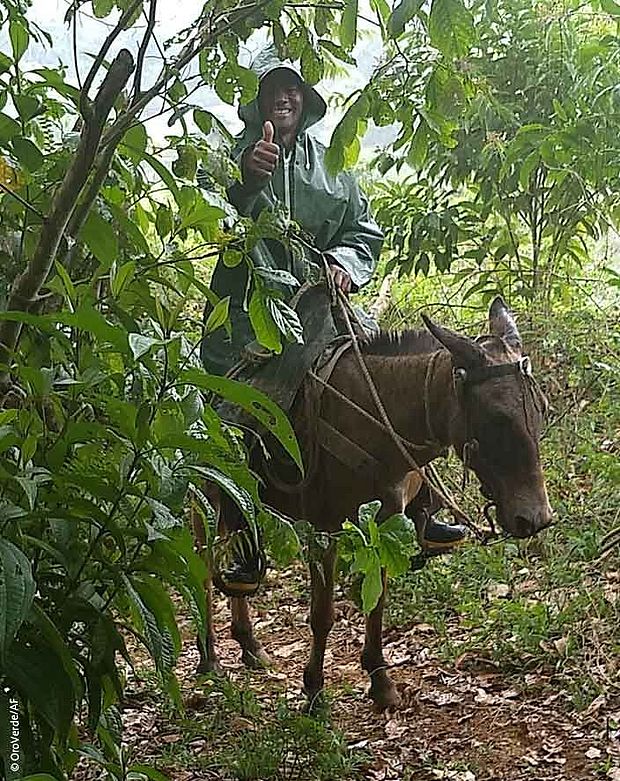 Nationalparkmitarbeiter auf einem Esel zeigt mit dem Daumen nach oben© OroVerde