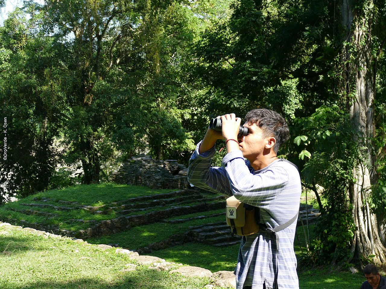 Ein junger Mann im Profil schaut mit einem Fernglas in die Ferne.