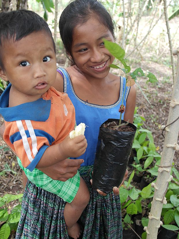 Fair gehandelter Kakao fördert Bildung und Gesundheit der anbauenden Familien. © OroVerde