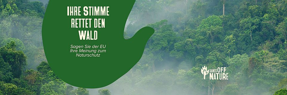 Grüner Handabruck auf einem Regenwaldfoto. „Sagen Sie der EU ihre Meinung zum Naturschutz!“