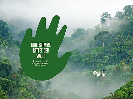 Grüner Handabruck auf einem Regenwaldfoto. „Sagen Sie der EU ihre Meinung zum Naturschutz!“