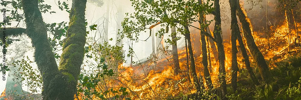 Heftiger Brand in einem Waldstück