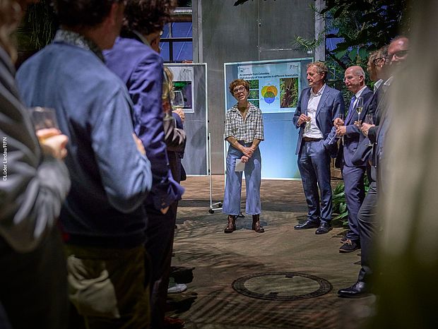 Regenwalddinner im Berliner botanischen Garten