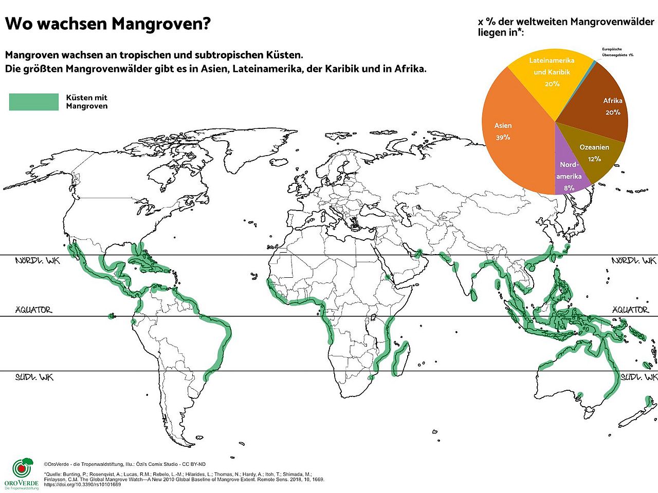 Die Mangroven Karte zeigt, dass Mangroven rund um den Äquator an den tropischen und subtropischen Küsten wachsen. Der größte Mangrovenbestand liegt in Asien, Afrika und Lateinamerika & Karibik. ©OroVerde nach Giri et al. (2011) / Illustration: Özi´s Comix Studio