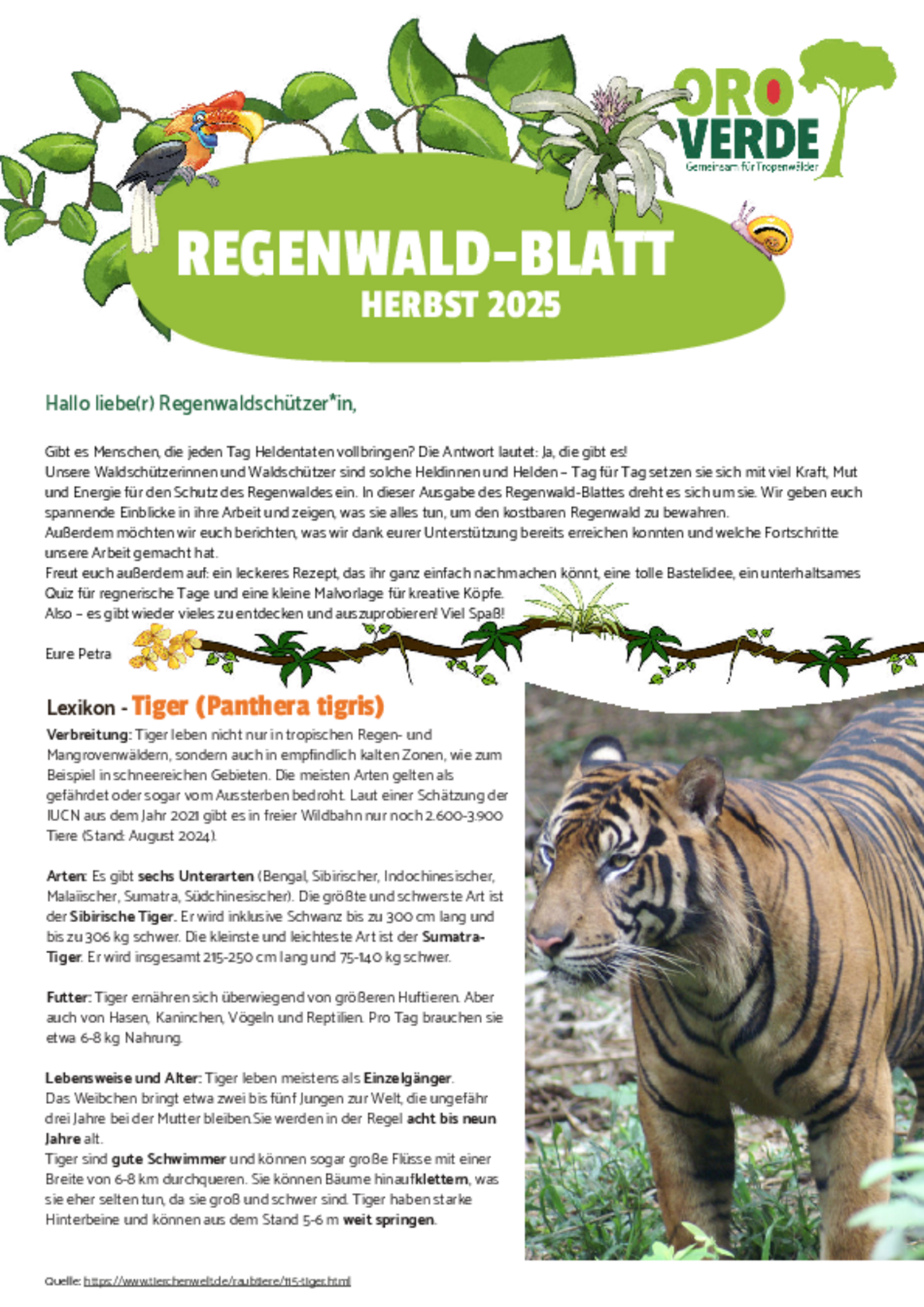 Regenwaldblatt Herbst 2025