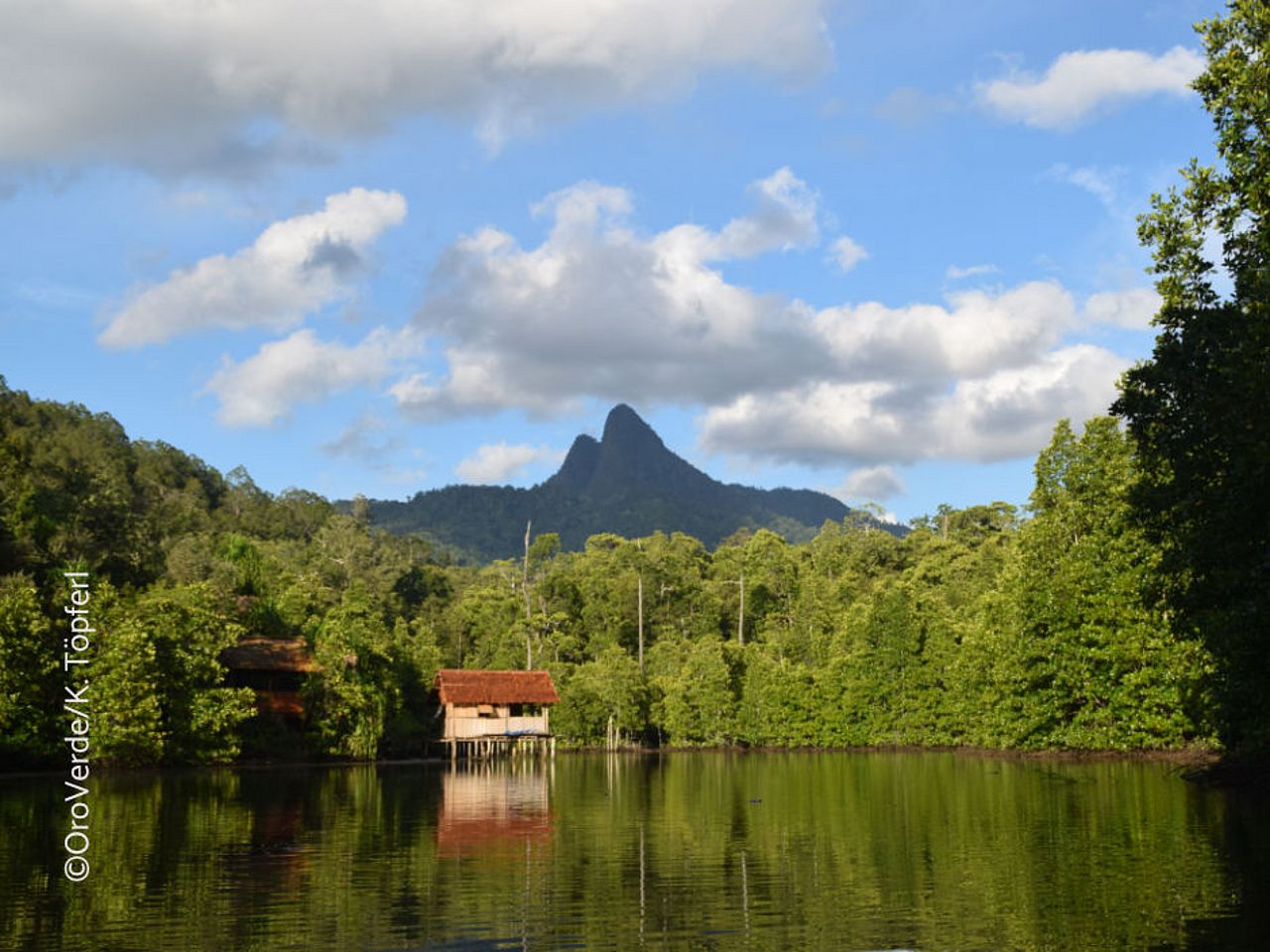 Hütte im Wald Indonesiens