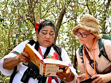 Marina Luz bestimmt mit Hilfe eines Buches eine Vogelart.