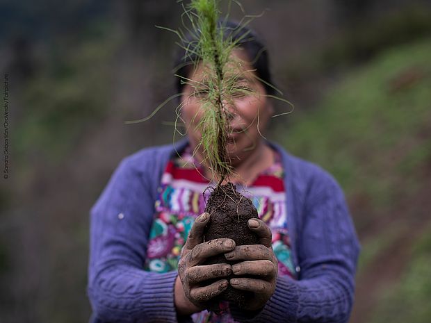 Eine Frau mit einem Setzling in den Händen.
