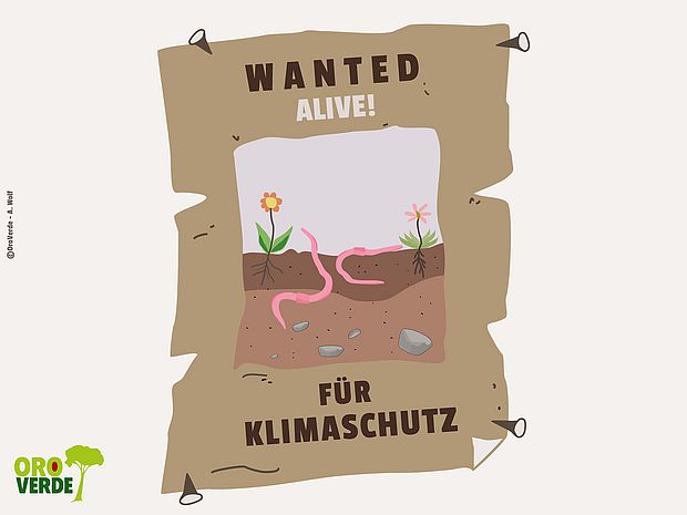 Grafik Gesunde Böden gesucht für Klimaschutz ©OroVerde - Awolf
