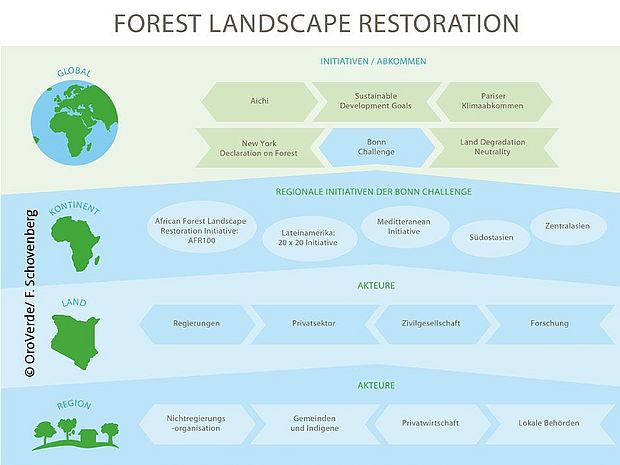 Forest Landscape Restoration Schichtmodel : Ebenen der globalen Gemeinschaft bis zur lokalen Umsetzung von Wald- und Landschaftswiederaufbau. ©OroVerde/ F. Schovenberg