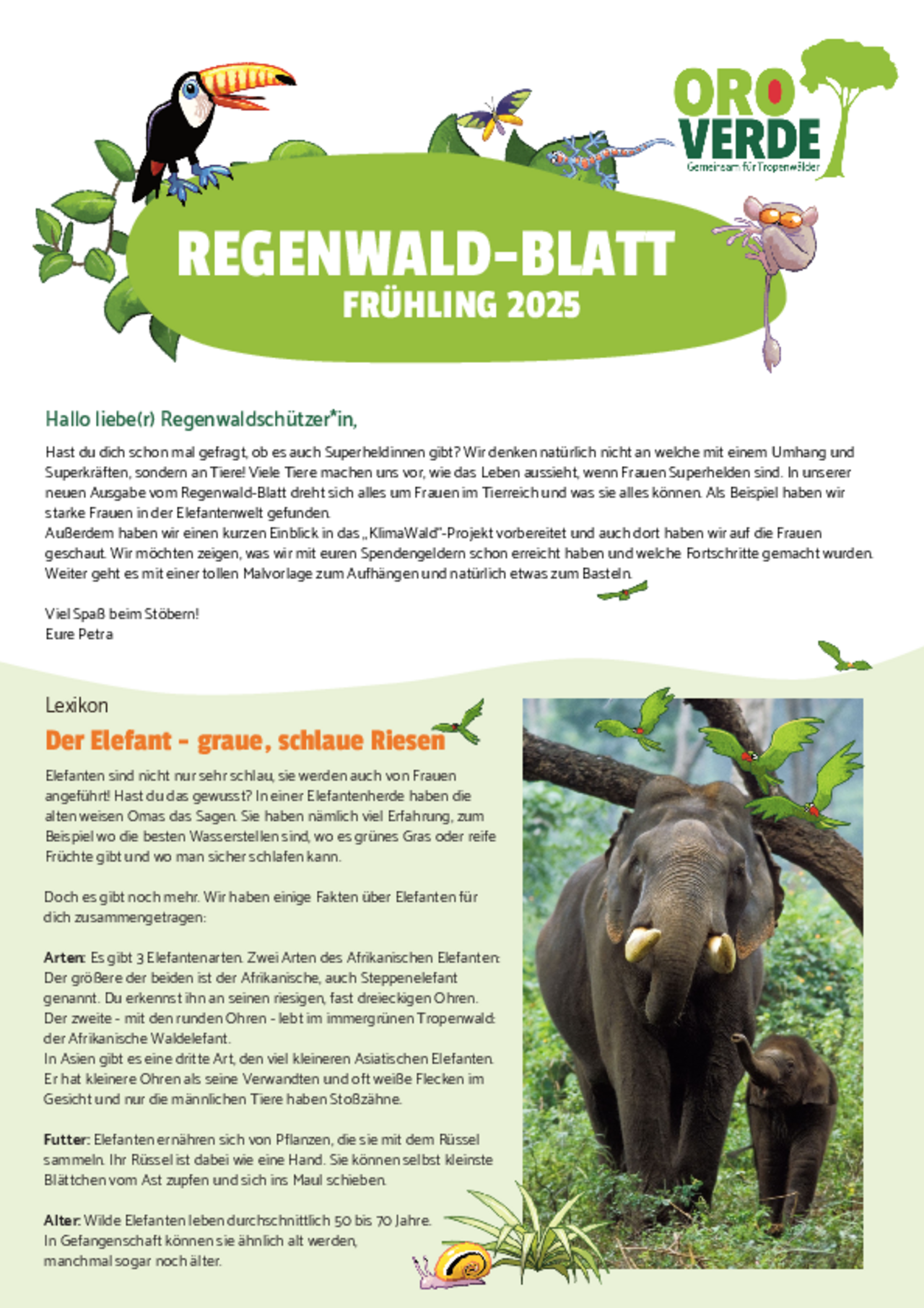 Regenwaldblatt Herbst 2025