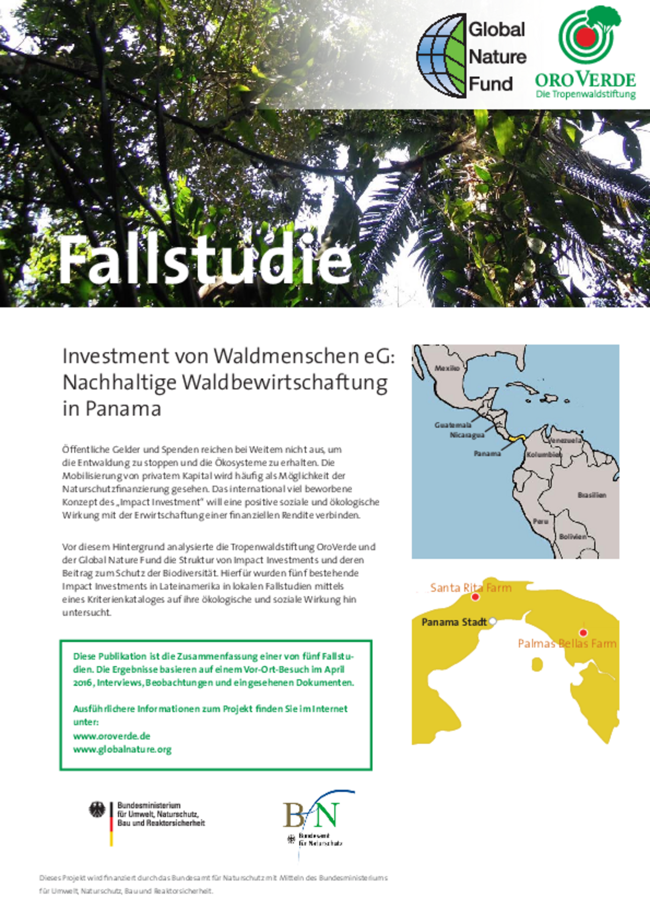 Impact-Investment: Fallstudie 5