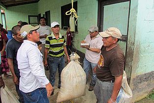 Bauern wiegen die Kakaobohnen: Projekt Waldgewinn Guatemala. ©OroVerde