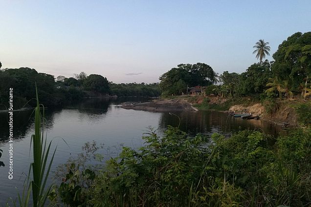 OroVerde Projektgebiete in Surinam. Hier speziell das Projektgebiet Tepu. © Conservation International-Suriname
