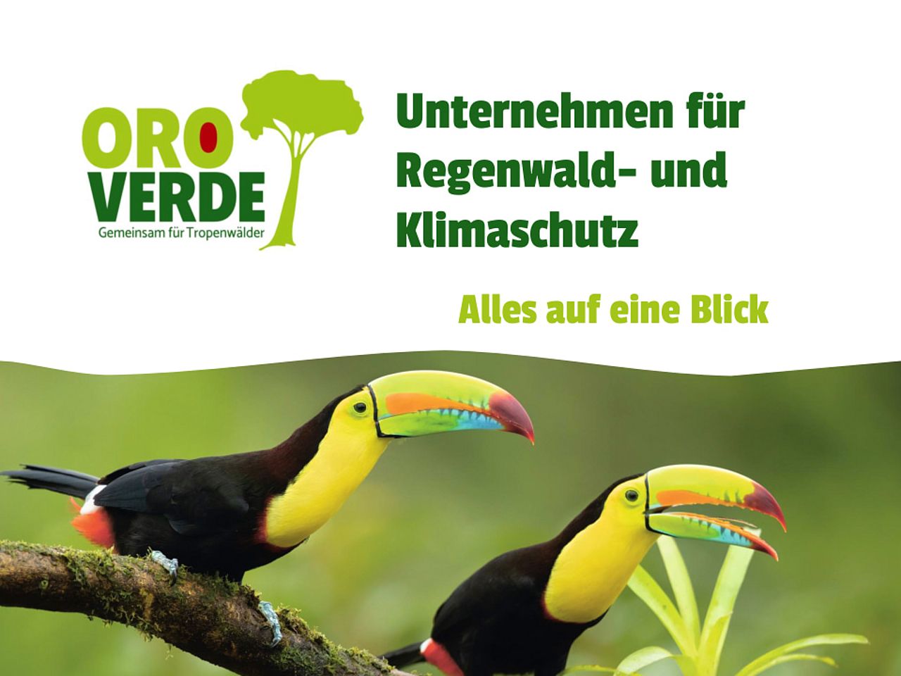 Präsentation Unternehmen für den Regenwald- und Klimaschutz