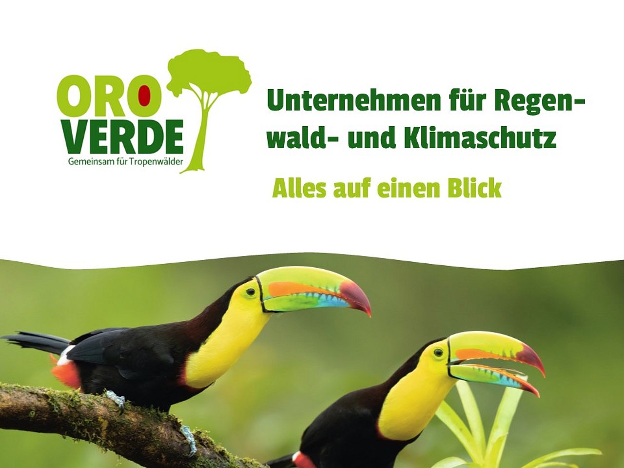 Präsentation: unternehmen für den Regenwald- und Klima –Alles auf einen Blickschutz