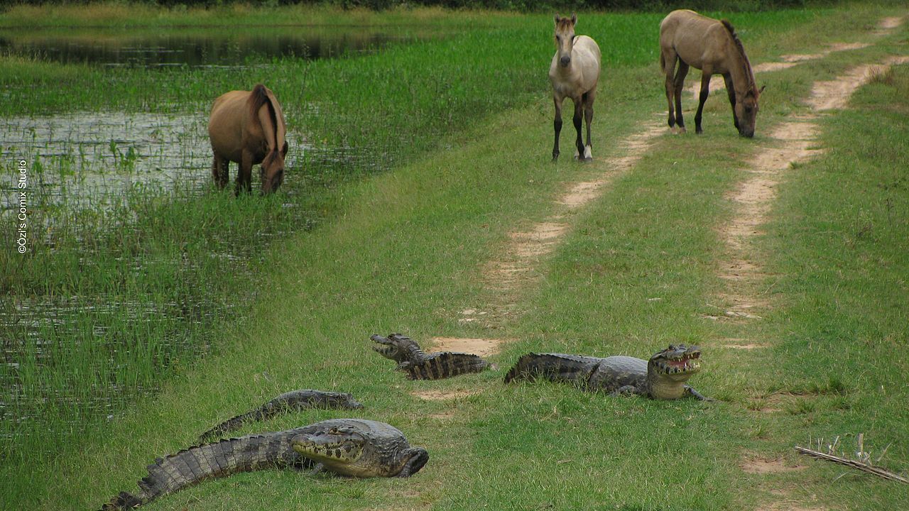 Pferde und Krokodile am Flussufer