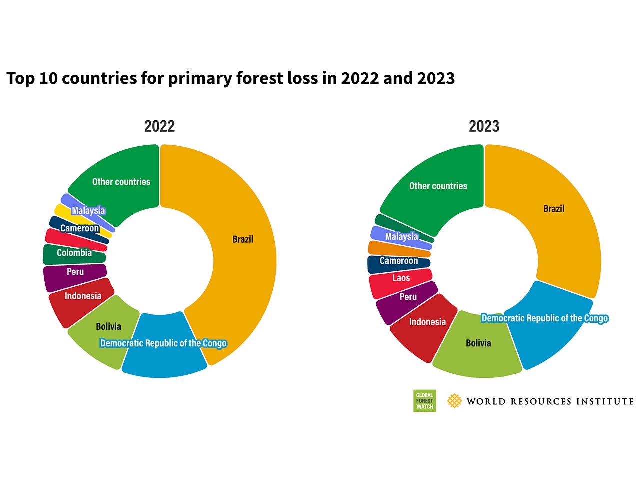 Tortengrafik TOP 10 Länder bei der Entwaldung 2022 und 2023 ©Global Forest Watch (GFW) Alarmierend hat die Analyse gezeigt: Auch 2023 haben wir 3,7 Millionen Hektar wertvollen tropischen Primärwald verloren, nahezu 10 Fußballfelder pro Minute.
