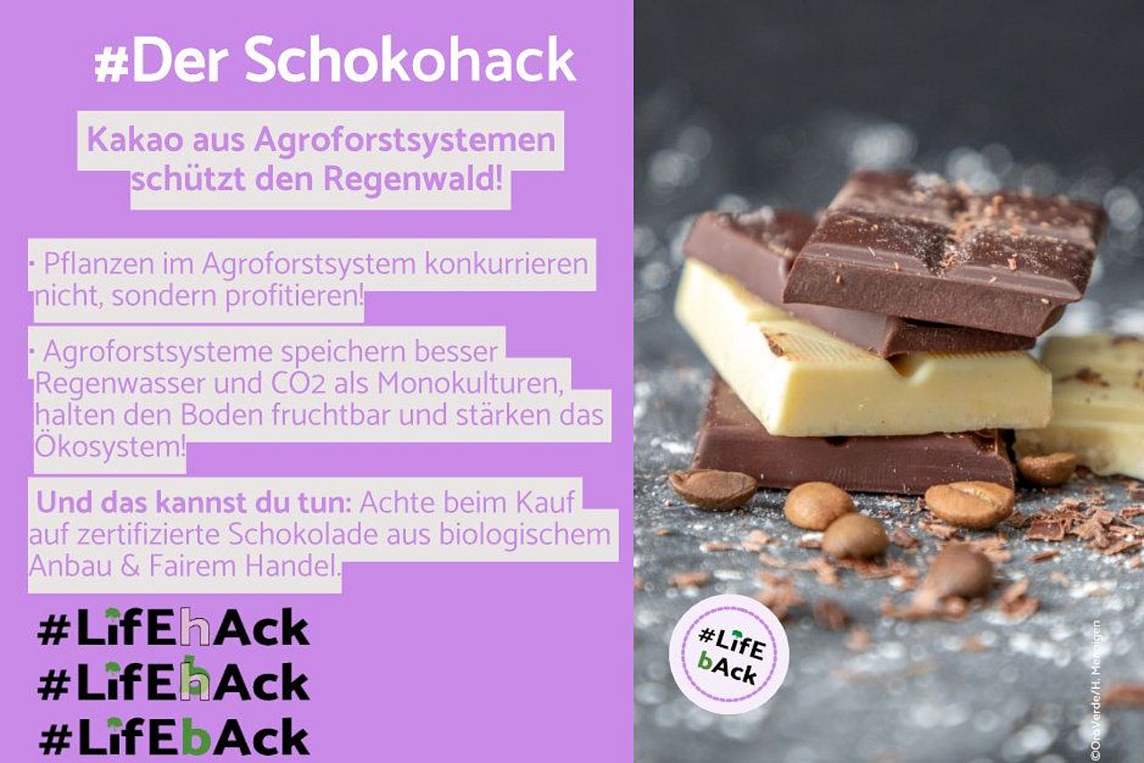 Lifehack Lifeback: Tipps für klimafreundlichen Alltag ©OroVerde