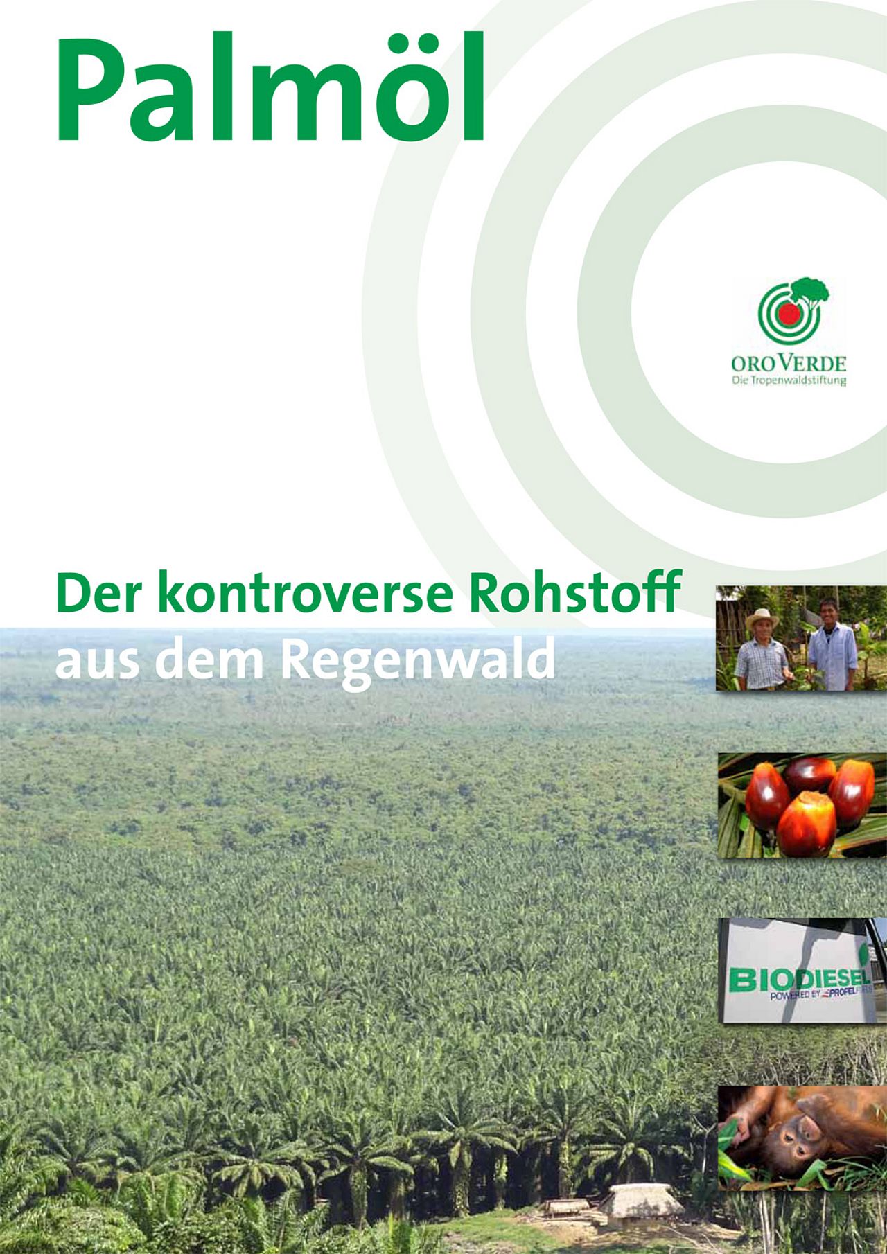 Der kontroverse Rohstoff aus dem Regenwald: Palmöl - Ein Faktenpapier von OroVerde