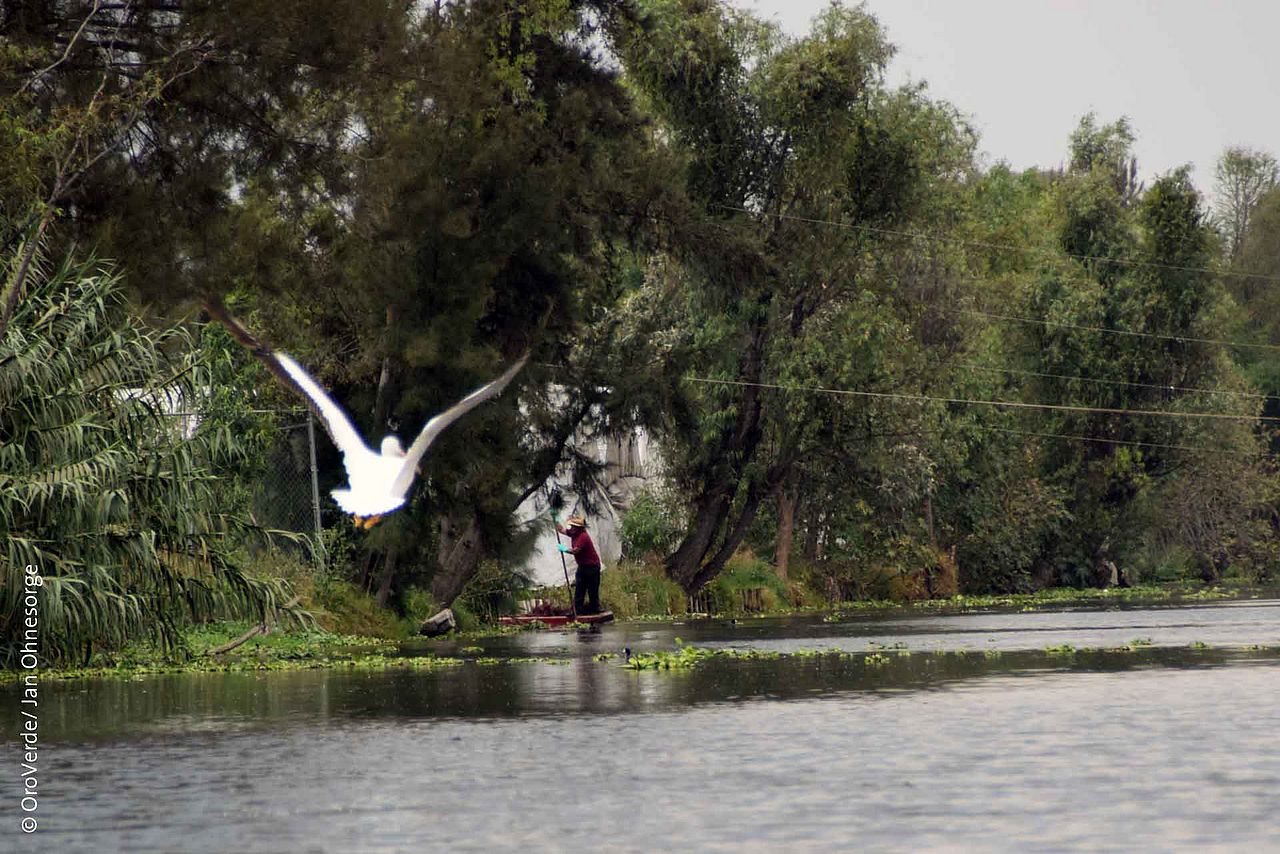 Seenlandschaft Xochimilco ©OroVerde