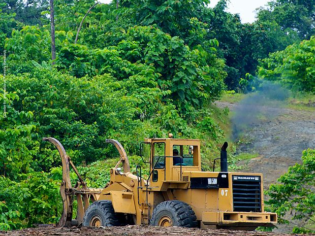 Ein Bulldozer auf einer entwaldeten Fläche ©Center for International Forestry Research