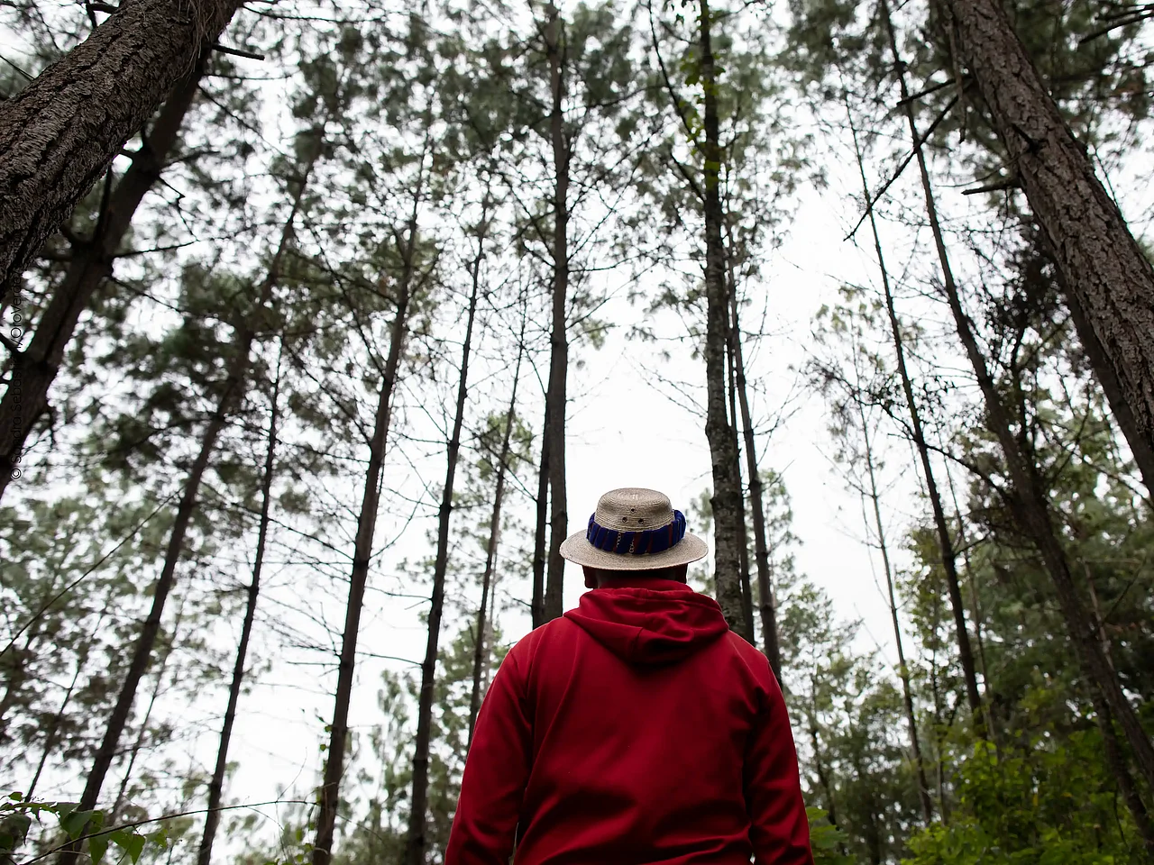 Ein Mann steht im Wald.