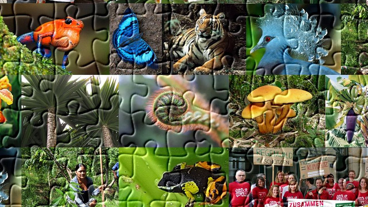 aus vielen, sich überlappenden und vielfältigen Puzzle-Teilen zusammen. ©Collage: OroVerde