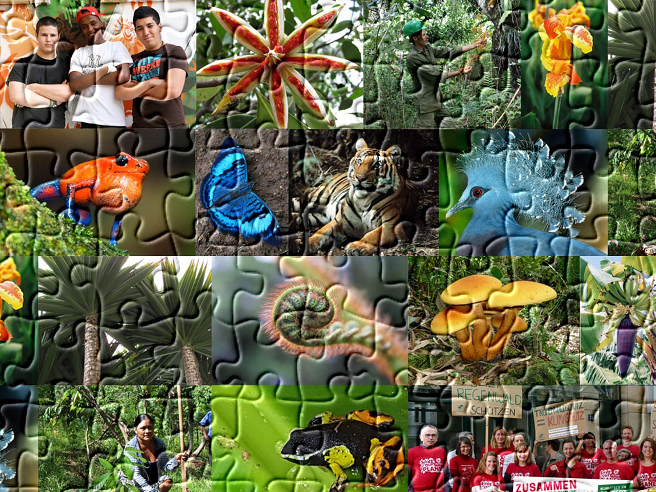 aus vielen, sich überlappenden und vielfältigen Puzzle-Teilen zusammen. ©Collage: OroVerde