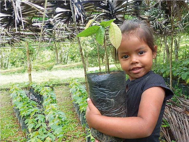 Wiederaufforstung Honduras ©OroVerde