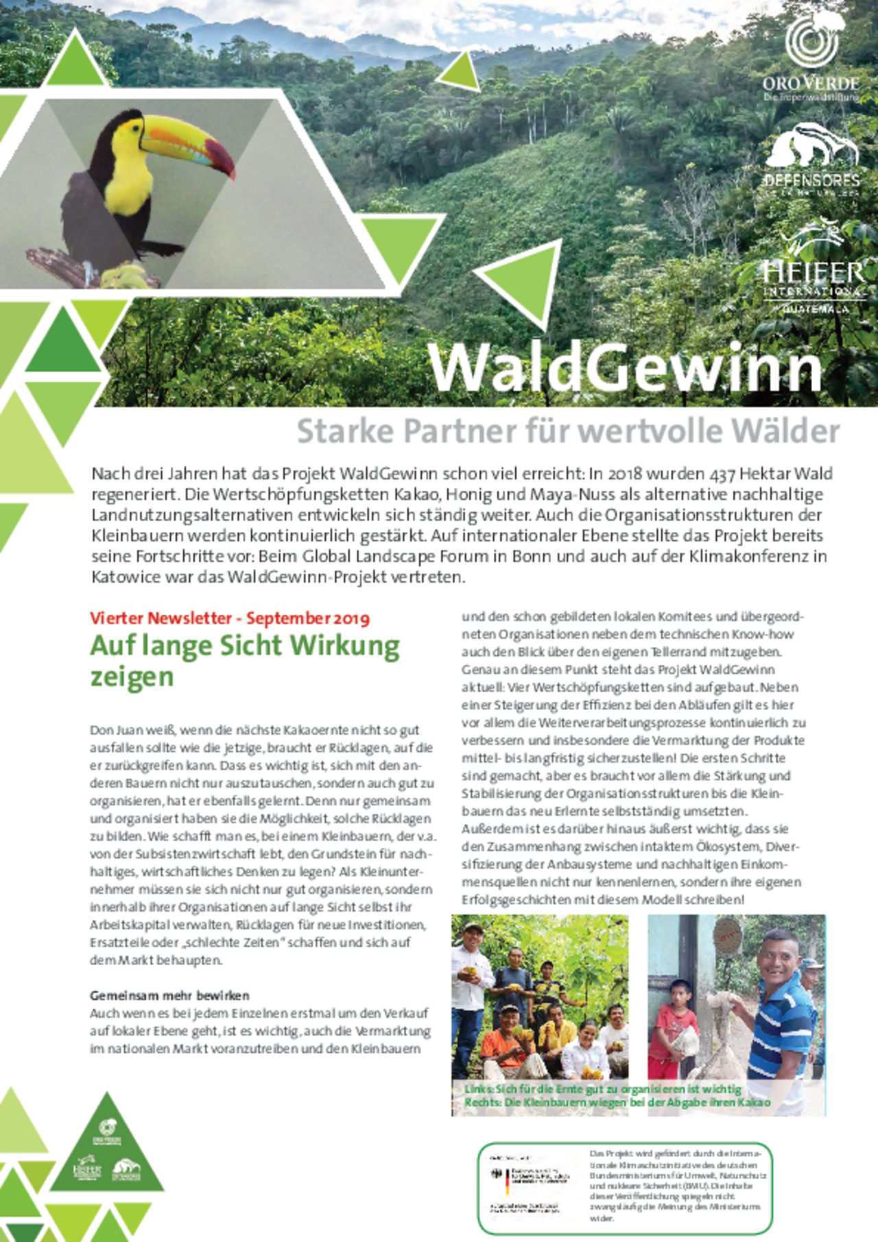 Newsletter WaldGewinn Nr 4