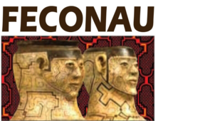 Logo FECONAU