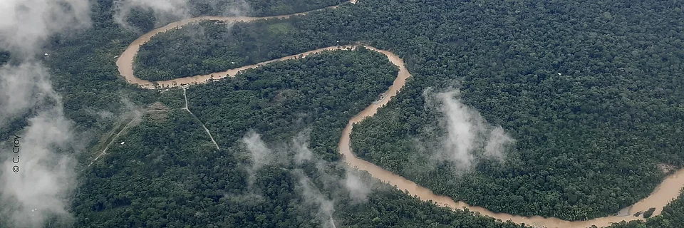 Amazonas Regenwald aus der Vogelperspektive