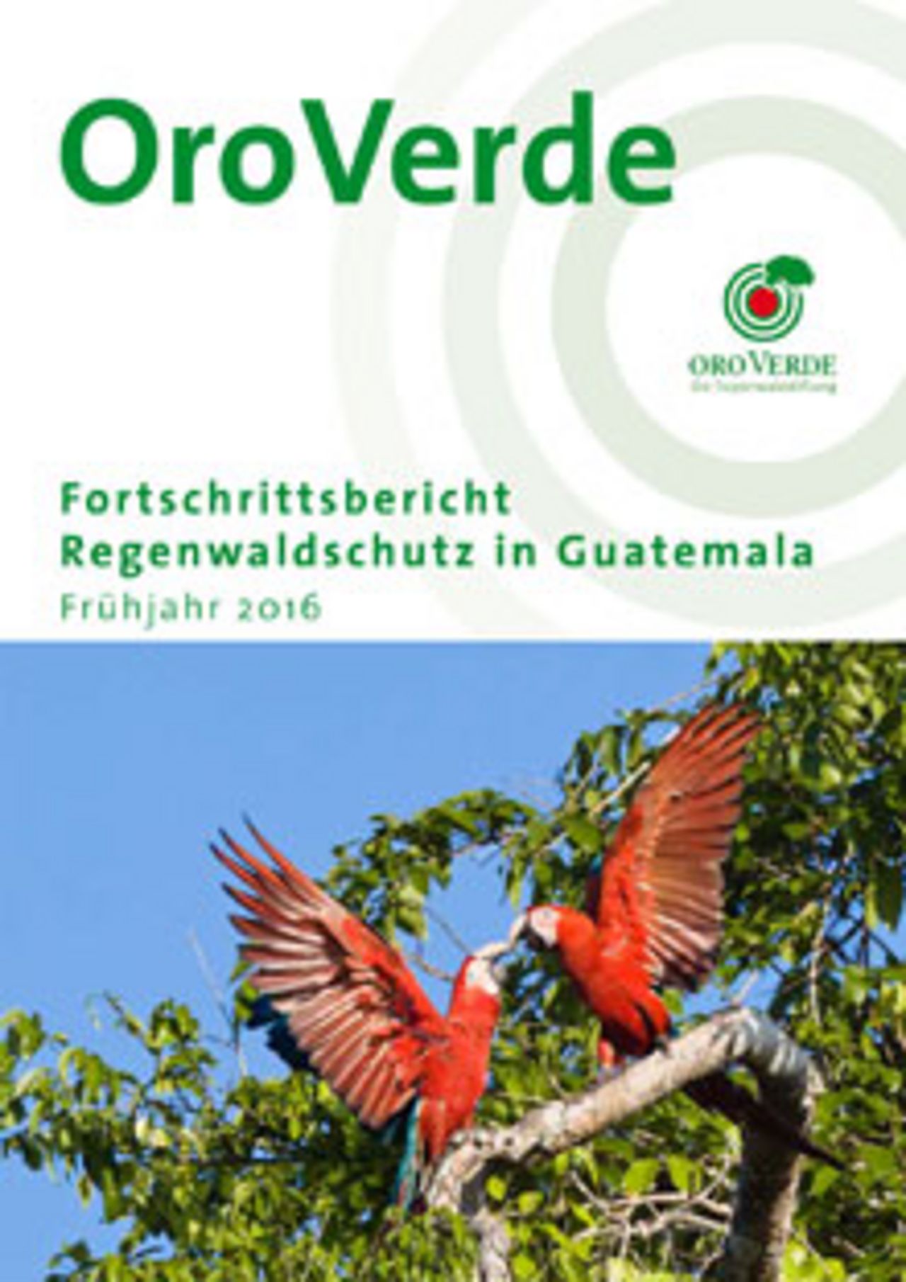 Regenwaldschutz bei OroVerde: Projektfortschritte 2016