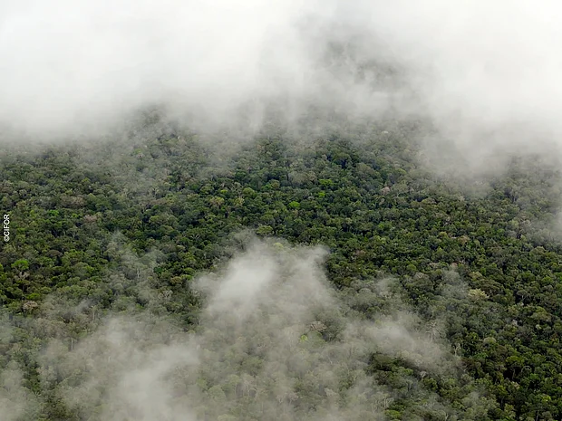 Wolkenströme über dem Amazonas