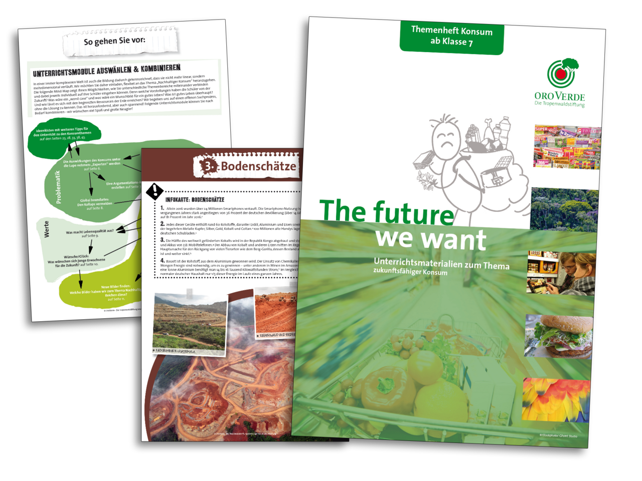Unterrichtsmaterial: The future we want