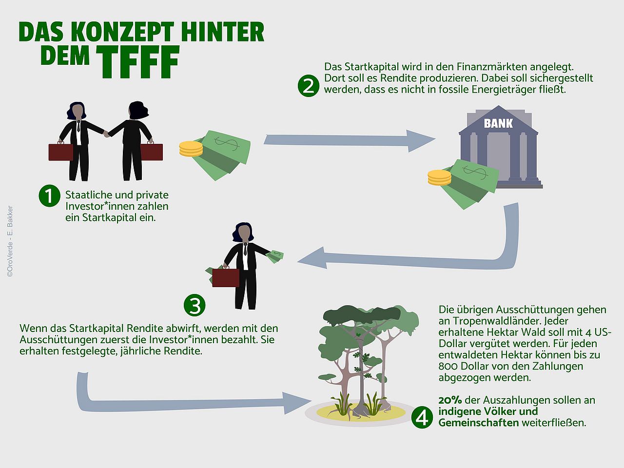 Die Infografik erklärt die einzelnen Schritte des TFFF von Investition bis Ausschüttung für Regenwaldschutz.