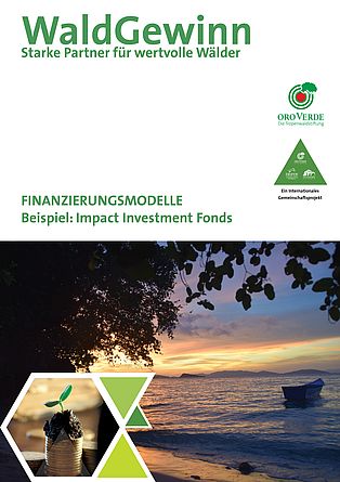 Finanzierung von Wald-Wiederaufbau durch Impact Investment