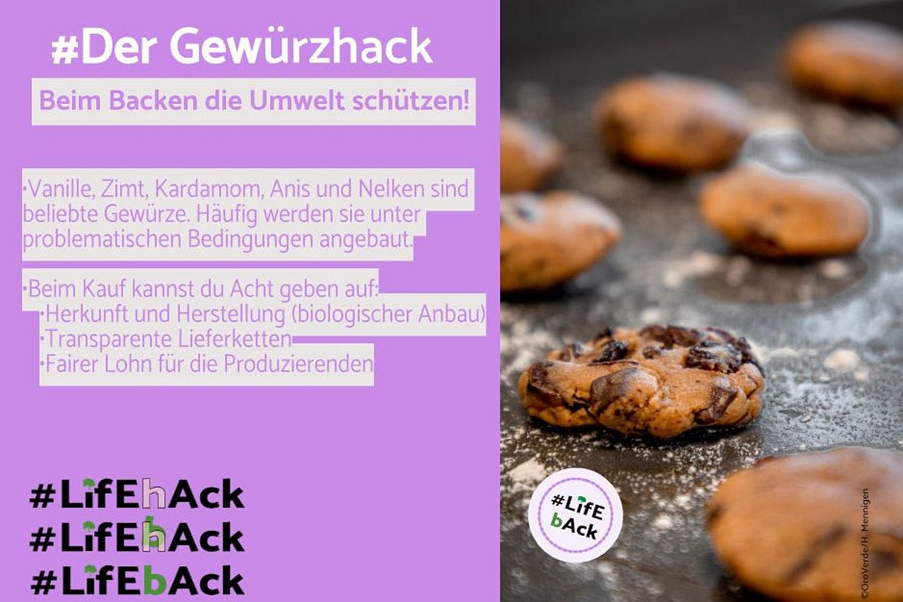 Lifehack Lifeback: Tipps für klimafreundlichen Alltag ©OroVerde Lifehack Lifeback: Tipps für klimafreundlichen Alltag ©OroVerde