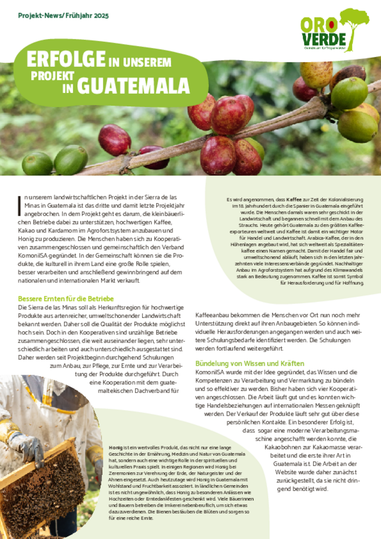 OroVerde Fortschrittsbericht Guatemala 2025