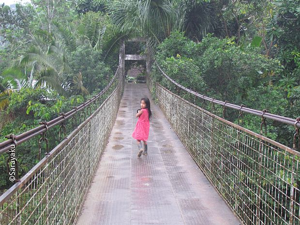 Indigenes Mädchen läuft über eine Hängebrücke im Regenwald