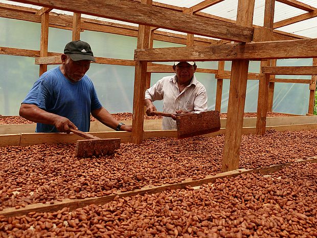 Kakaoverarbeitung © Oroverde