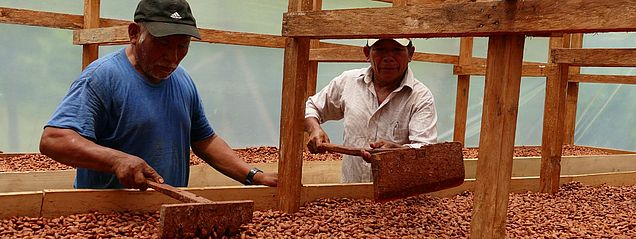 Jetzt spenden ©OroVerde – M. Metz