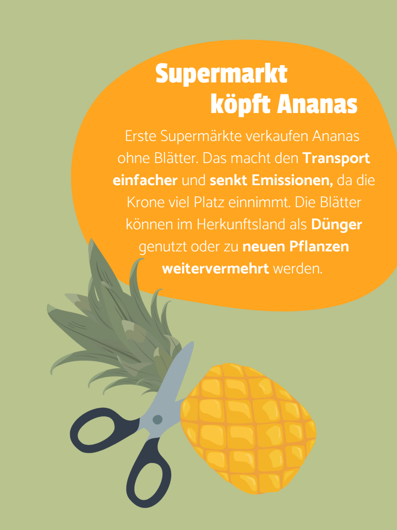 Eine Ananas wird von einer Schere mit schwarzem Griff durchtrennt. In einer orangenen Blase steht: Supermarkt köpft Ananas - Erste Supermärkte verkaufen Ananas  ohne Blätter. Das macht den Transport einfacher und senkt Emissionen, da die Krone viel Platz einnimmt. Die Blätter können im Herkunftsland als Dünger genutzt oder zu neuen Pflanzen weitervermehrt werden. 