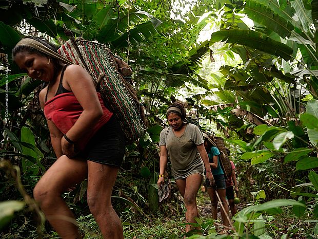 Paranüsse sammeln in Alalapadu ©Conservation International Suriname