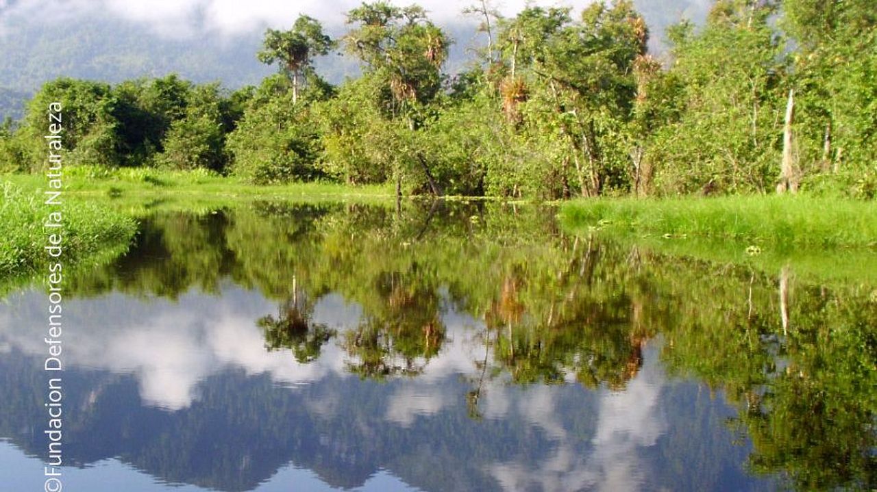 Donde bosques y ríos se encuentran, las delicadas interdependencias entre los ecosistemas resaltan de manera especial. © Defensores de la Naturaleza