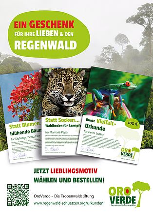 Freianzeige: Ein Geschenk für ihre Lieben & den Regenwald