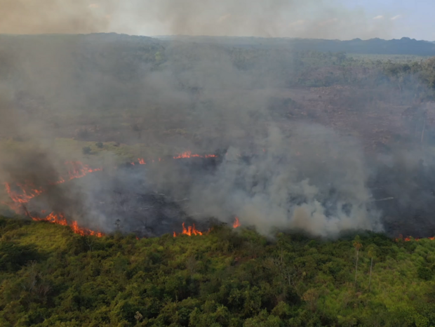 3 In diesem Jahr wüten die Waldbrände besonders heftig ©FDN